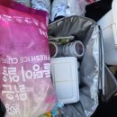 원형로 | 한번 먹으면 잊을 수 없는 목포 생똥집, 또간집 88포장마차