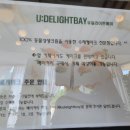유딜라이트베이