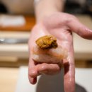 스시타노 이미지