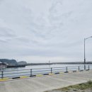 송도오토캠핑장 이미지