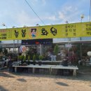 늘봄꽃화원 네이버블로그