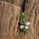 구산-029 이미지