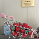 행정농장 | 겨울에만 할 수 있는 딸기 따기🍓딸기 농장 체험 예약 :: 장스베리딸기체험농장