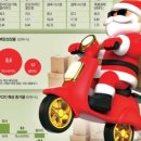 대조-009 이미지