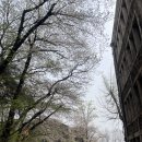 행정용 82 | [수영 일기 82] 연세대학교 수영장/연세대 수영장 자유수영 후기(+교내 구성원 이용 가능)