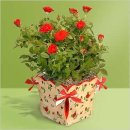 금송빌딩 이미지