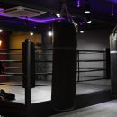 EX  BOXING 이미지