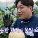 마현농장 티스토리