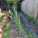 공단이용소 이미지