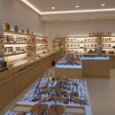 온안경콘택트 이미지