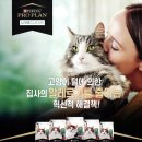 정샘동물병원 이미지