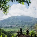 THE웃는치과의원 이미지