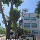 영진빌딩 이미지