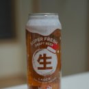 세븐일레븐 포항코아루점 | 세븐일레븐 신동엽 생맥주 생드레프트비어 내돈내산