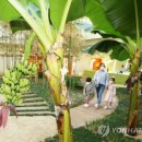 바나나어린이집 이미지