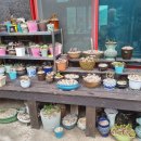 성윤횟집 이미지