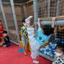 용인대 한뫼 태권도장 이미지