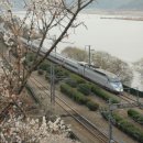 원동농장 이미지