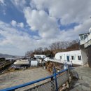 샘물 | 하늘샘물펜션 강화도펜션 방문 후기 🌊