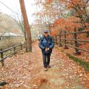 묘하우스 이미지