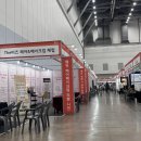 김동화 | [웨딩쿨/2025웨딩박람회+김동화 웨딩플래너님] 마법의 소라 동화님...