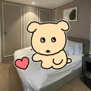 브라운도트 충주시청점 이미지