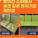 병원 대기실 리폼 성공사례! 찢어진 쇼파에서 새것 같은 분위기로 재탄생
