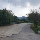 파평체육공원 축구장 이미지