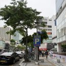 씨네시티한일빌딩 이미지