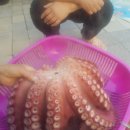 강가민박 이미지