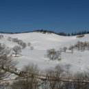 대관령목장 이미지