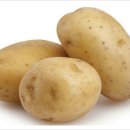 파주농장 이미지