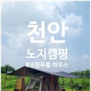 천안 노지캠핑 추천 강아지와 떠난 은지리 여름 캠핑 후기