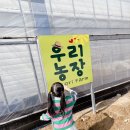 우리농장 | 아이와 가볼만한 동물체험 새로오픈한 포천우리농장 내돈내산후기