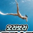 오라보라