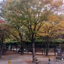 계룡어린이공원 화장실 이미지