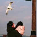 삽교호관광지 이미지