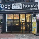 도그바라기 이미지