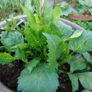 하늘정원3 이미지