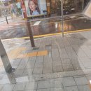 플로잉포레스트