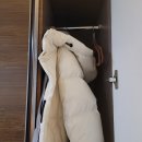 동성로 피부관리 피로가 풀리는 어깨관리 승모근관리 짐에스테틱 다녀온 후기