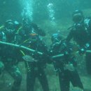 2015년9월6일 제주도문섬 해양실습다이빙 이미지