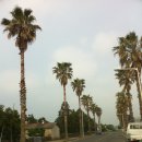 숲섬민박 이미지