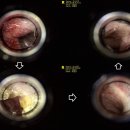 유기화동물의료센터 이미지
