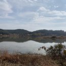 5마일 펜션 이미지