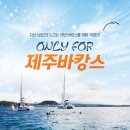 신평여행사 이미지