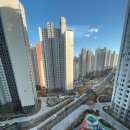 레이카운티 도전태권도 이미지