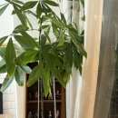 썬데이상회 이미지