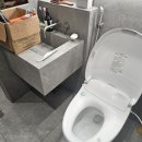 창원 화장실 변기 곰팡이 냄새 원인부터 손쉽게 제거