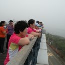 하단2동-12 이미지